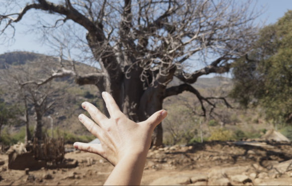 Under the Baobab Tree
