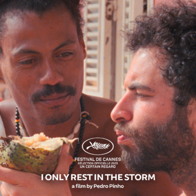 I only rest in the storm I only rest in the storm
